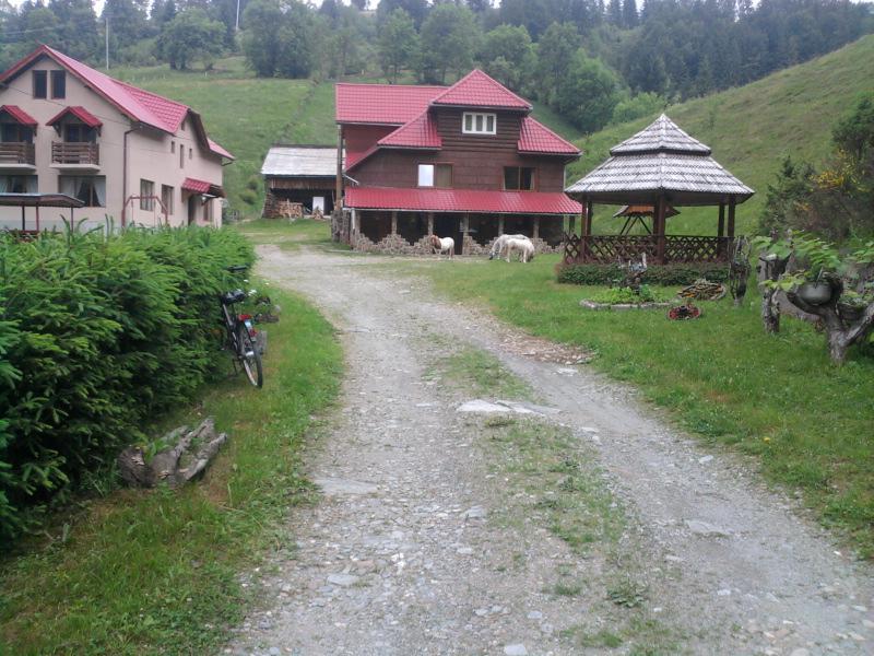 Pensiunea Sofy Arieşeni Exterior foto