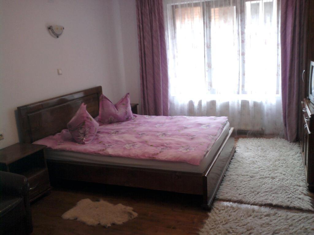 Pensiunea Sofy Arieşeni Exterior foto